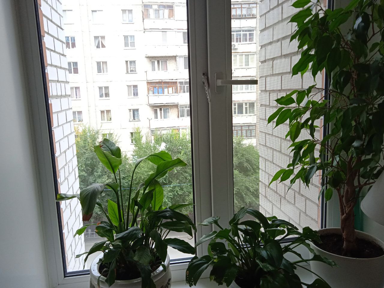 https://abakan.delaem-okna.ru/storage/app/uploads/public/63f/332/8c0/63f3328c0d6f7867060515.jpg
